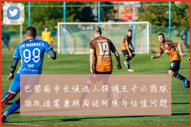 巴黎前市长候选人强调王子公园球场改造需兼顾周边环境与估值问题
