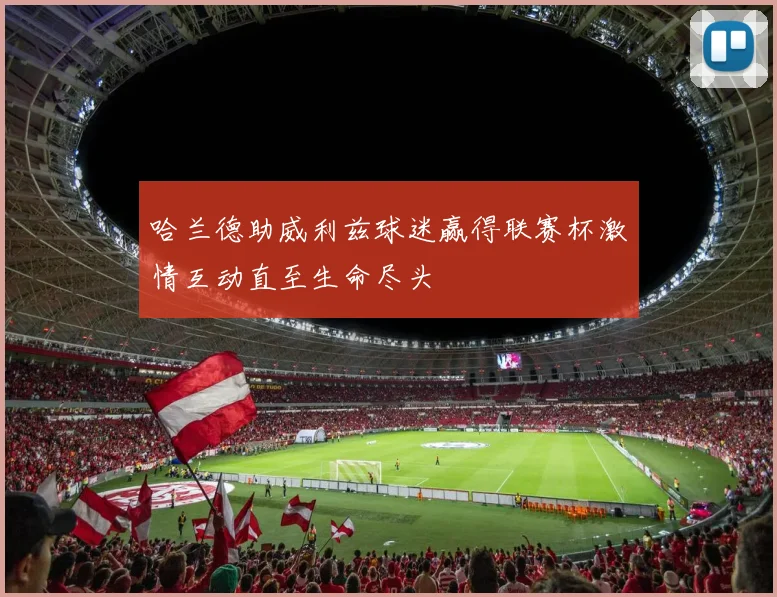 哈兰德助威利兹球迷赢得联赛杯激情互动直至生命尽头