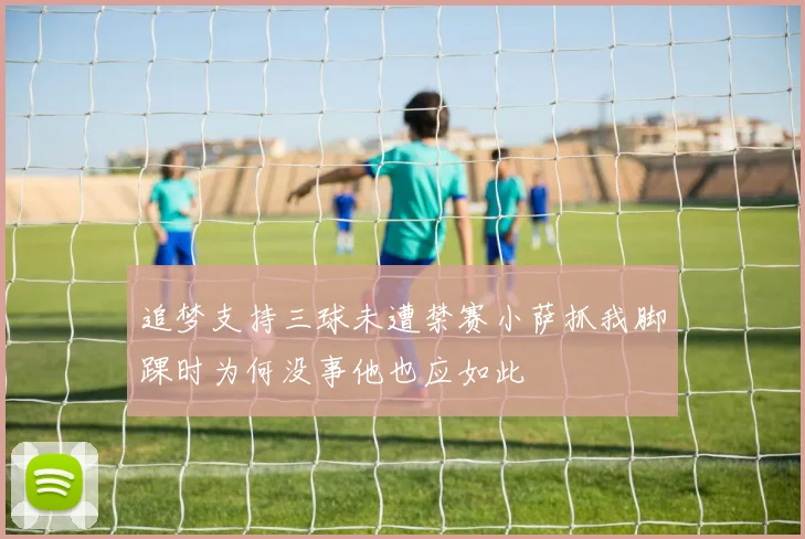 追梦支持三球未遭禁赛小萨抓我脚踝时为何没事他也应如此