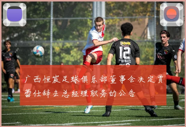 广西恒宸足球俱乐部董事会决定贾蕾仕辞去总经理职务的公告