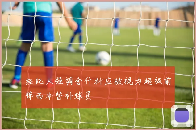 经纪人强调舍什科应被视为超级前锋而非替补球员