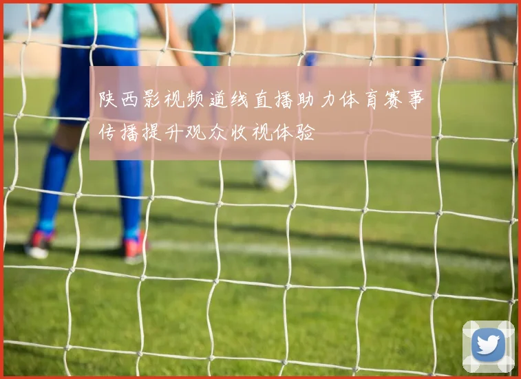 陕西影视频道线直播助力体育赛事传播提升观众收视体验