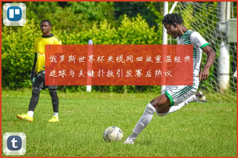 俄罗斯世界杯央视网回放重温经典进球与关键扑救引发赛后热议