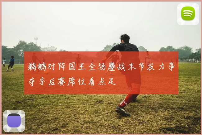 鹈鹕对阵国王全场鏖战末节发力争夺季后赛席位看点足