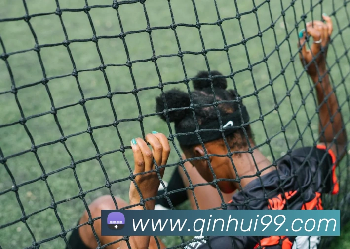 米兰登录app入口平台生态图